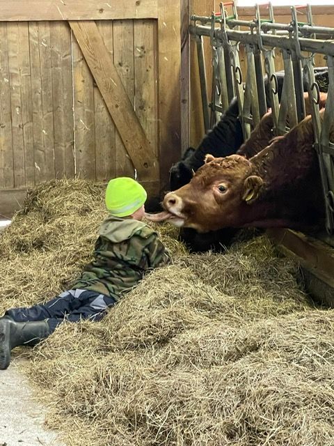 AZIENDA AGRICOLA GIANELLA