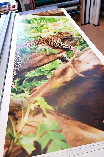 Hohmuth Werbetechnik Leuchtbilder Leuchtwände