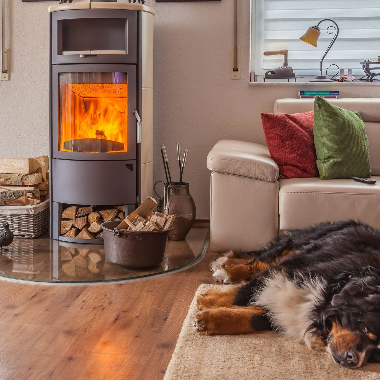 Cheminée dans le salon avec un chien endormi devant