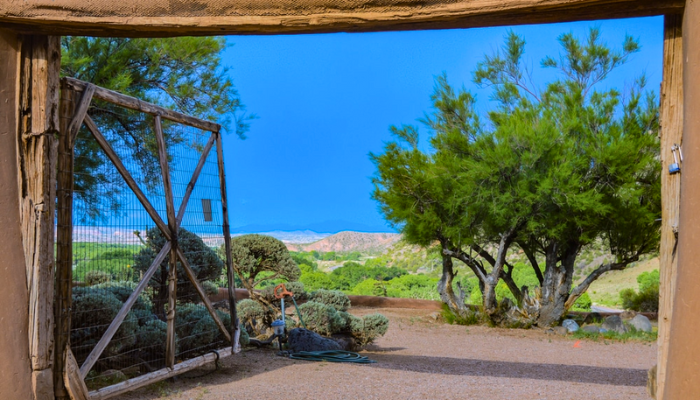 Open gate revealing a sunny outdoor scene with a tree, bushes, and a distant landscape.
