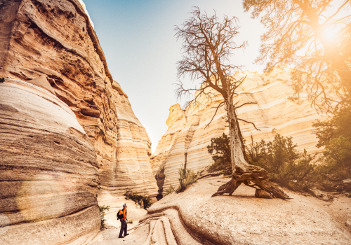 Hiker in a scenic trail winding through rock formations in Santa Fe