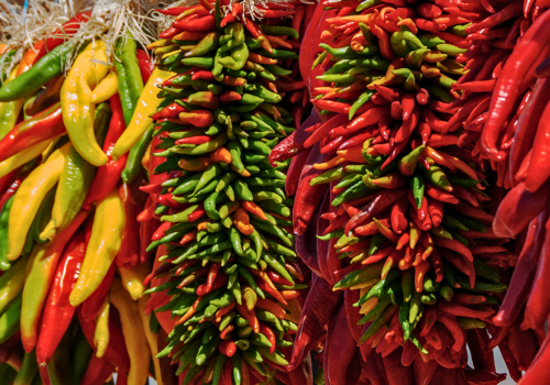 Colorful ristras of drying chili peppers, in red, green, and yellow.