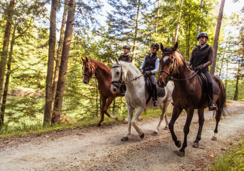 horseback riding near santa fe