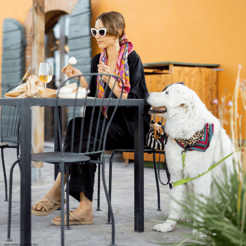pet friendly restaurants in santa fe