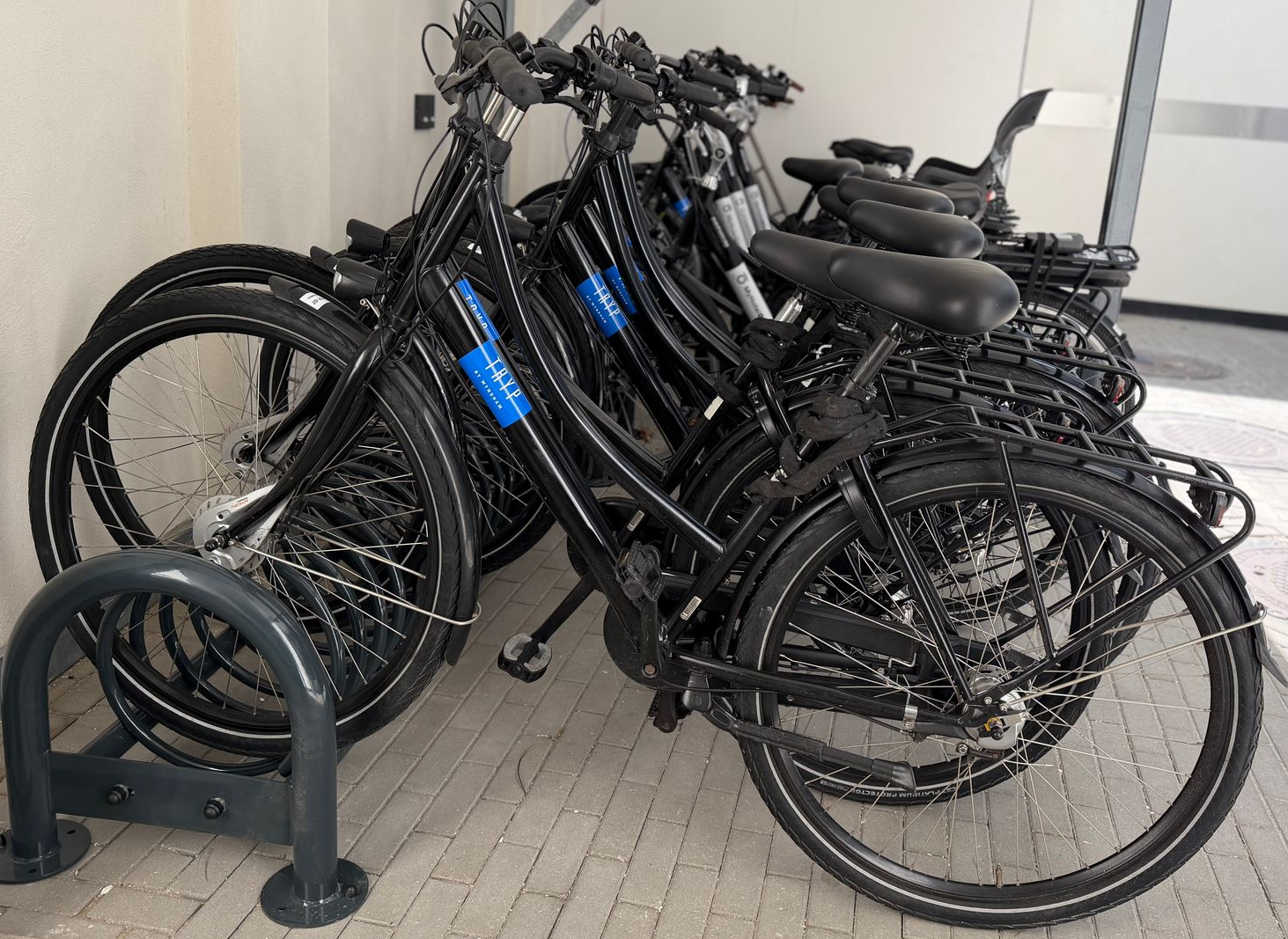 Diverse zwarte fietsen staan dicht bij elkaar geparkeerd in een fietsenrek binnen, met op sommige frames blauwe labels.