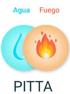 Dos círculos con las palabras agua fuego y pitta en ellos.
