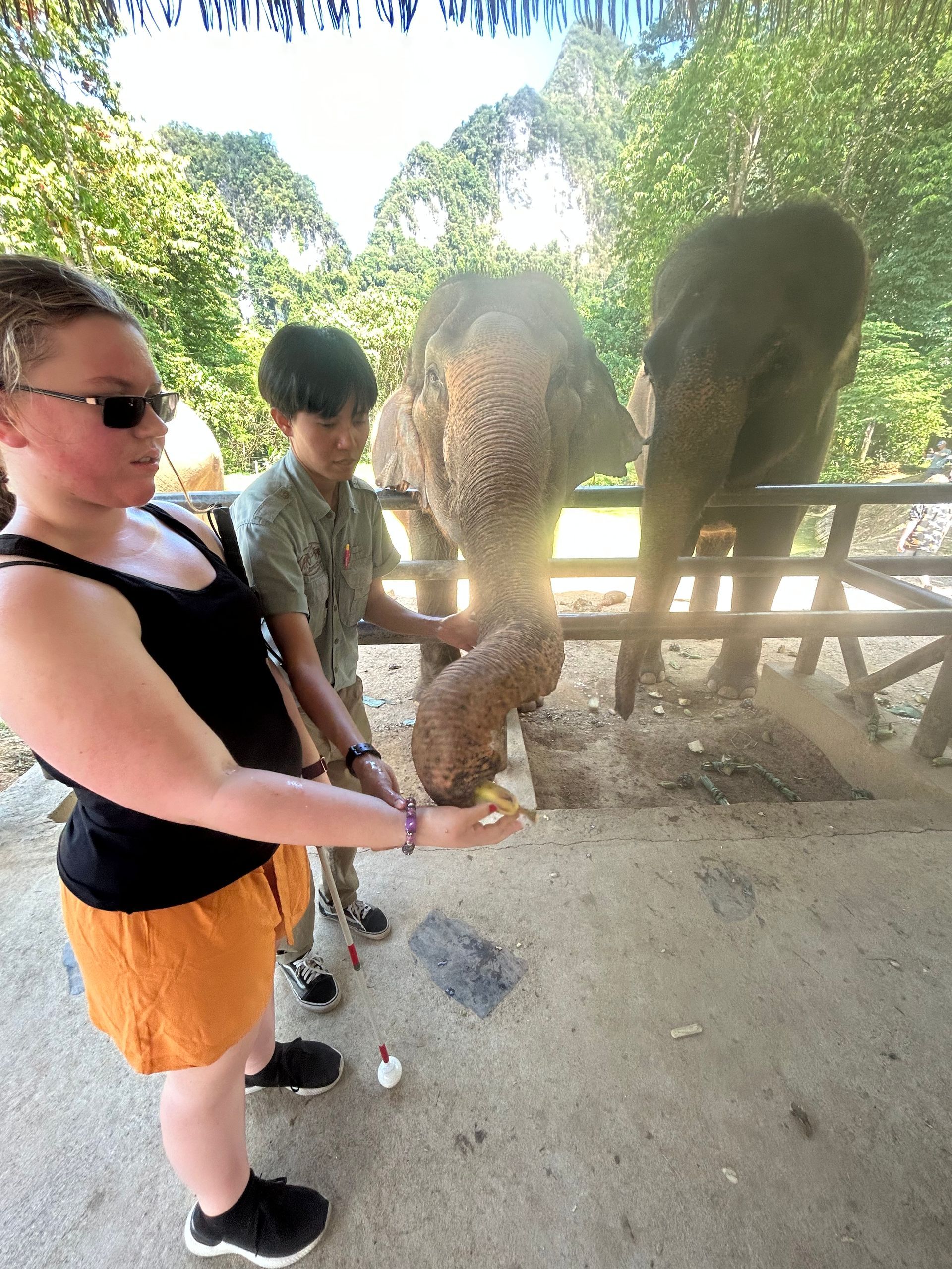 A visually impaired and hard-of-hearing girl feeding an elephant on holiday