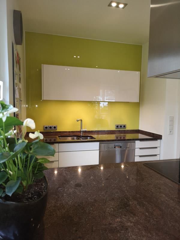 Eine Topfpflanze steht auf einer Theke in einer Küche