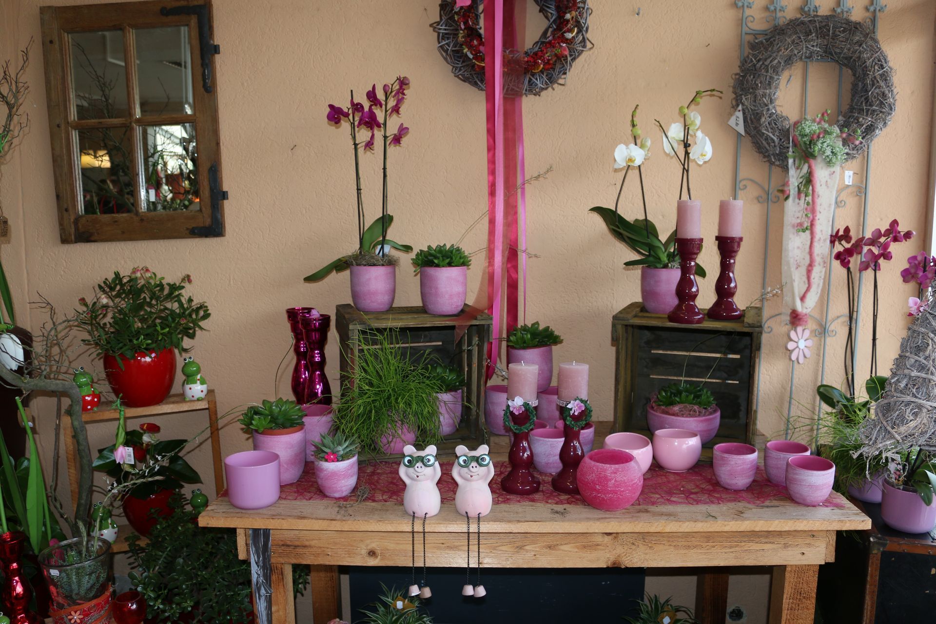 Tisch mit verschiedenen Pflanzen im Topf