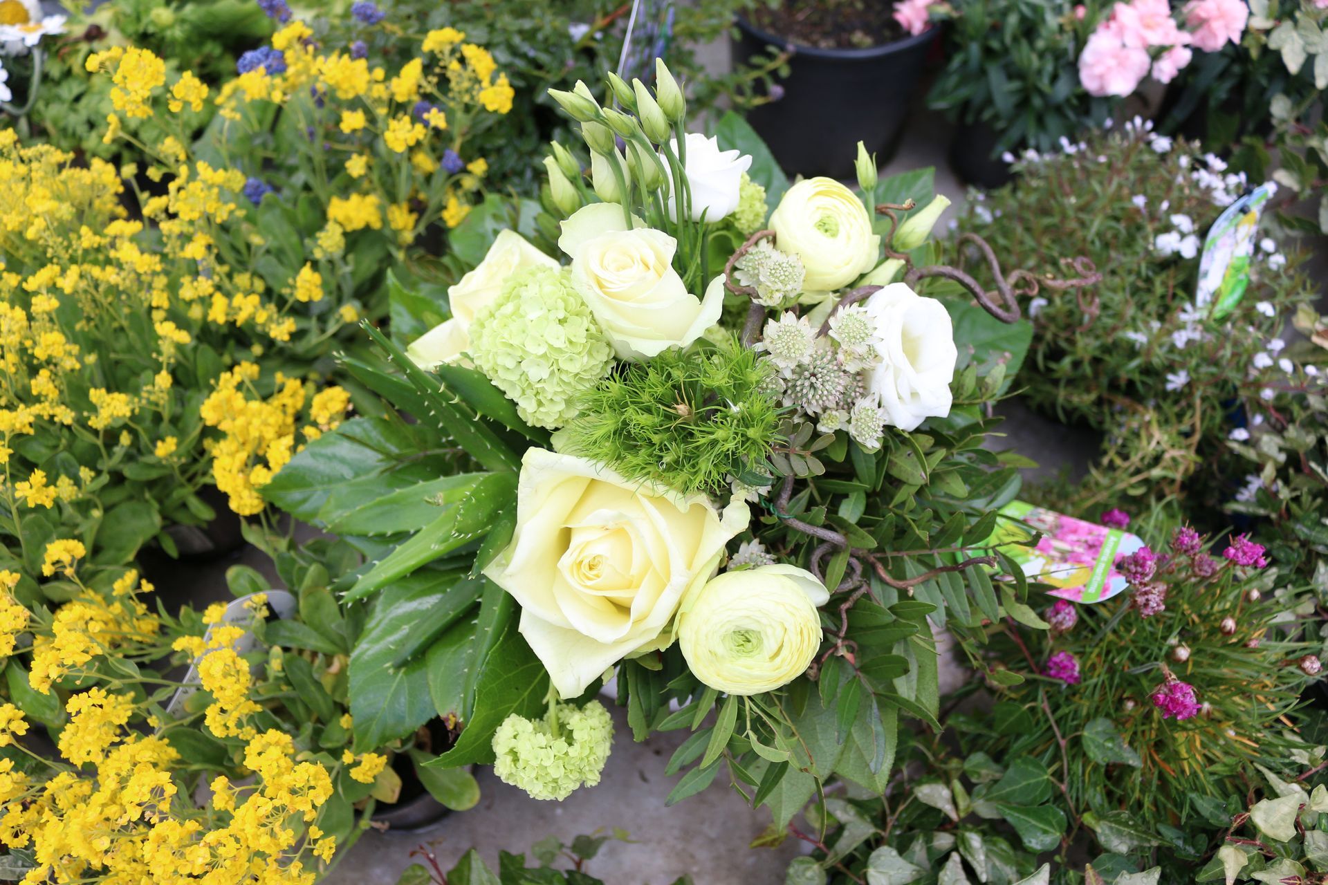 Blumenstrauß mit weißen Blumen