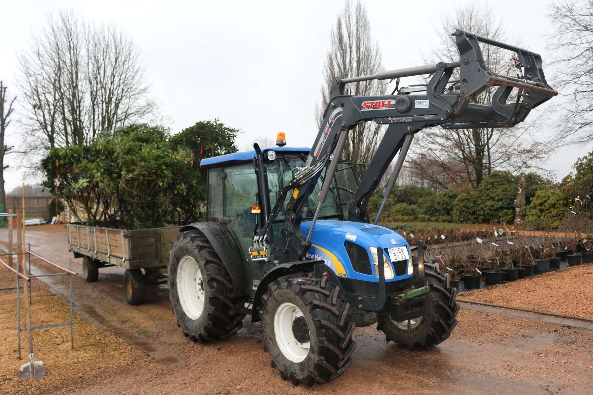 Trecker mit Anhänger voll Pflanzen