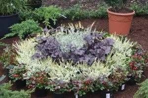 Runde Pflanzenanordnung auf einem Grab