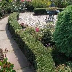 Buchsbaumhecke an einem Pflasterweg