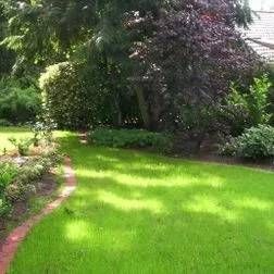 Gepflegter grüner Rasen im Garten