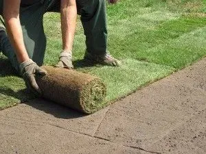 Mann verlegt Rollrasen