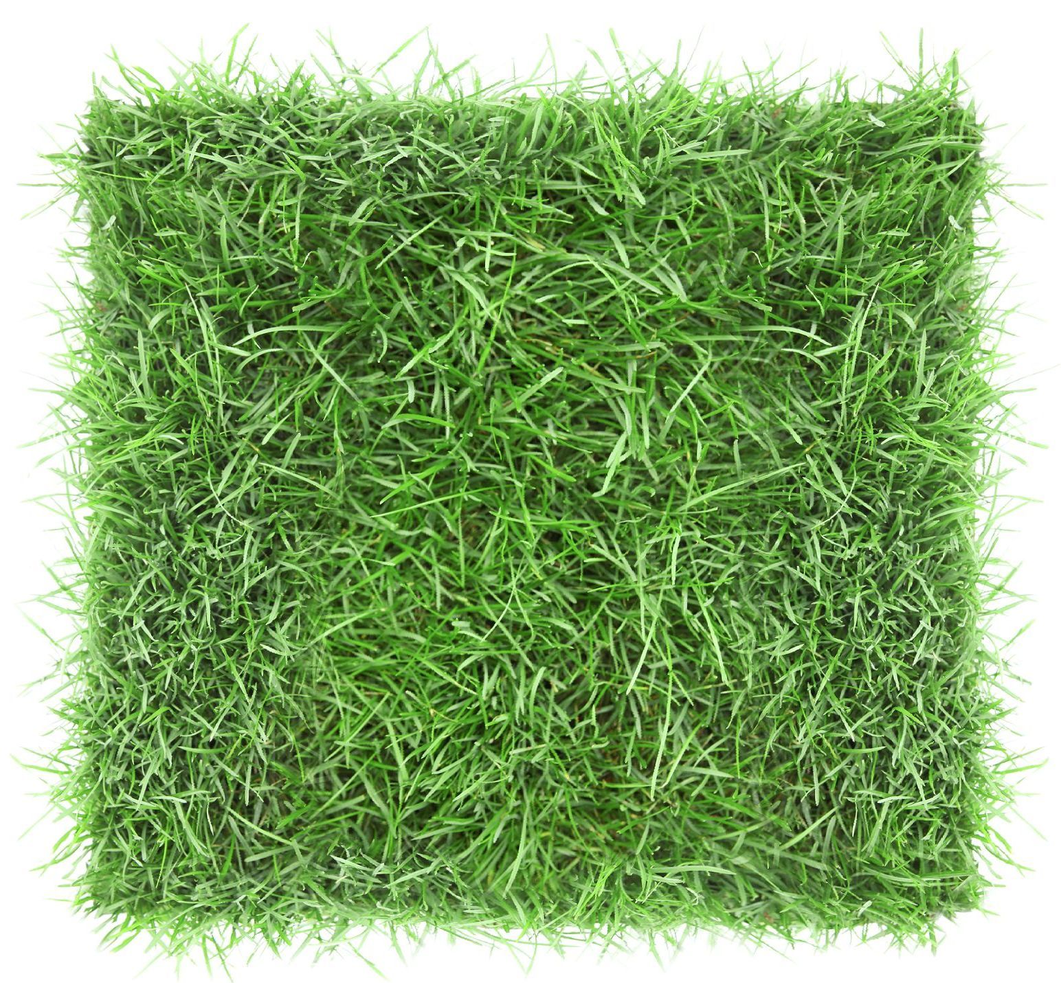 Quadratische Rasenfläche