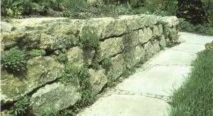 ältere Steinmauer mit Bewuchs