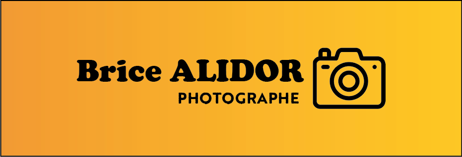 Logo Brice Alidor Photographe