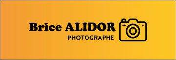 Logo Brice Alidor Photographe