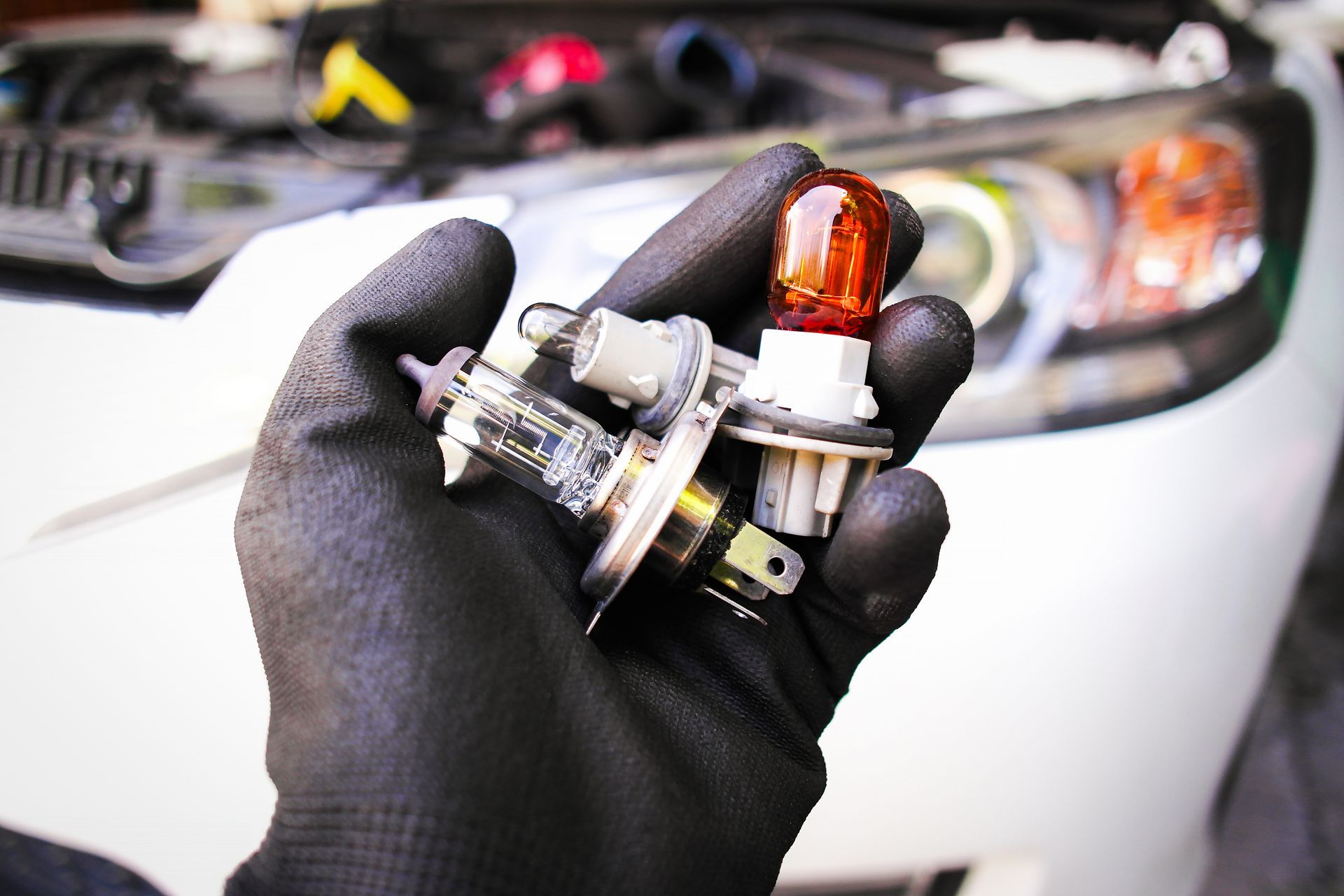 Une ampoule halogène de phare automobile dans la main d'un mécanicien.