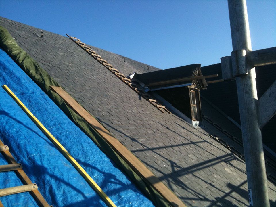 Gros plan d'un chien assis sur la toiture d'une église