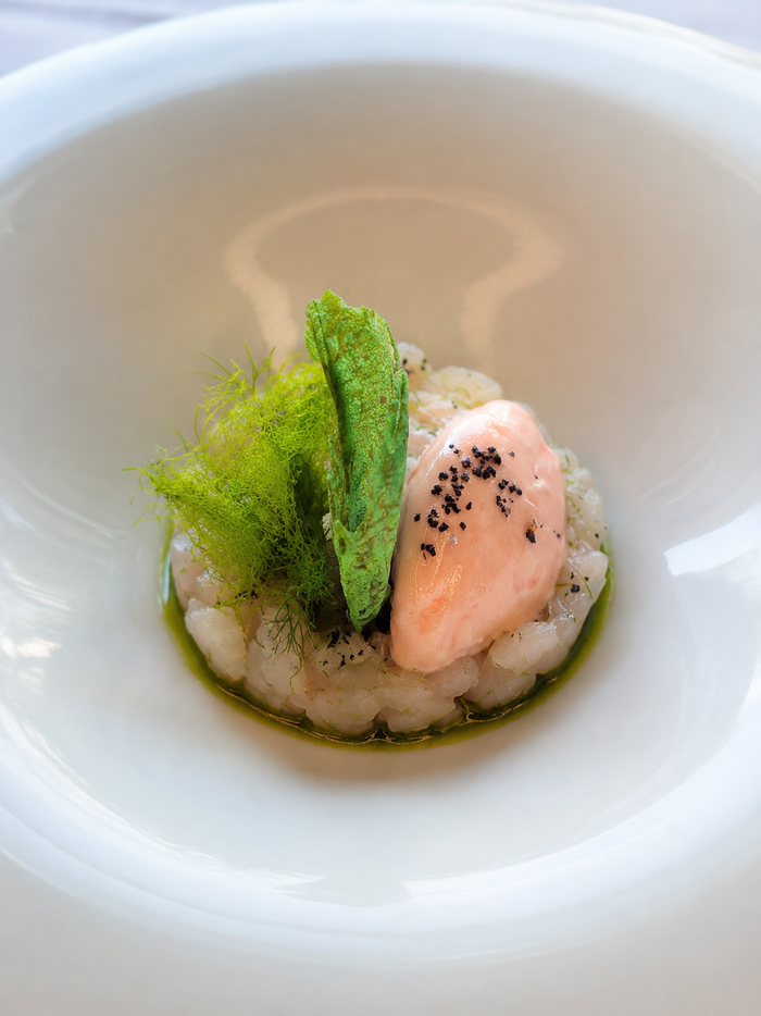 Tartare di ricciola e sorbetto al pompelmo del menu estivo del ristorante filettè
