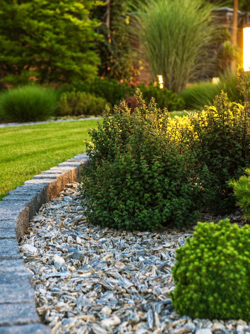 Jardin verdoyant avec plantes, gazon et bordure en pierre.