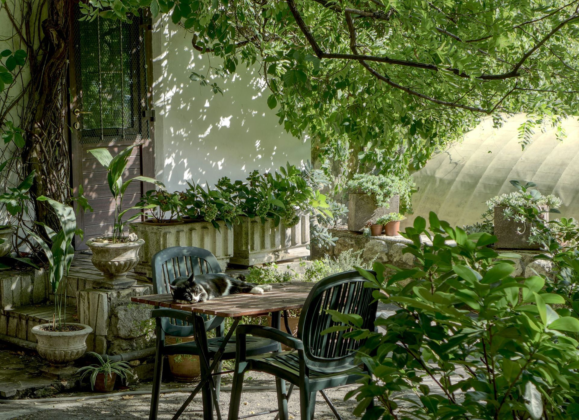 Un patio extérieur ombragé avec une table, des chaises, des plantes en pot et un bâtiment en arrière-plan.
