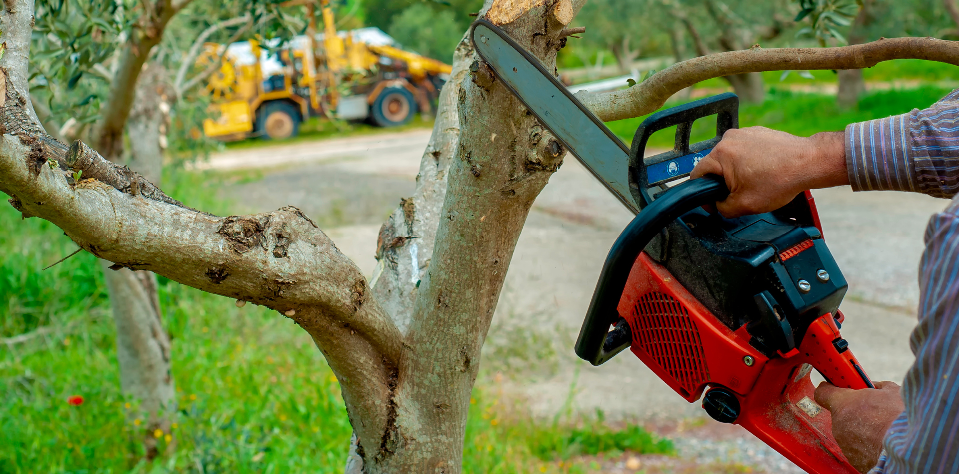 Une personne utilise une tronçonneuse rouge pour couper une branche d'arbre. Une machine jaune est visible en arrière-plan.