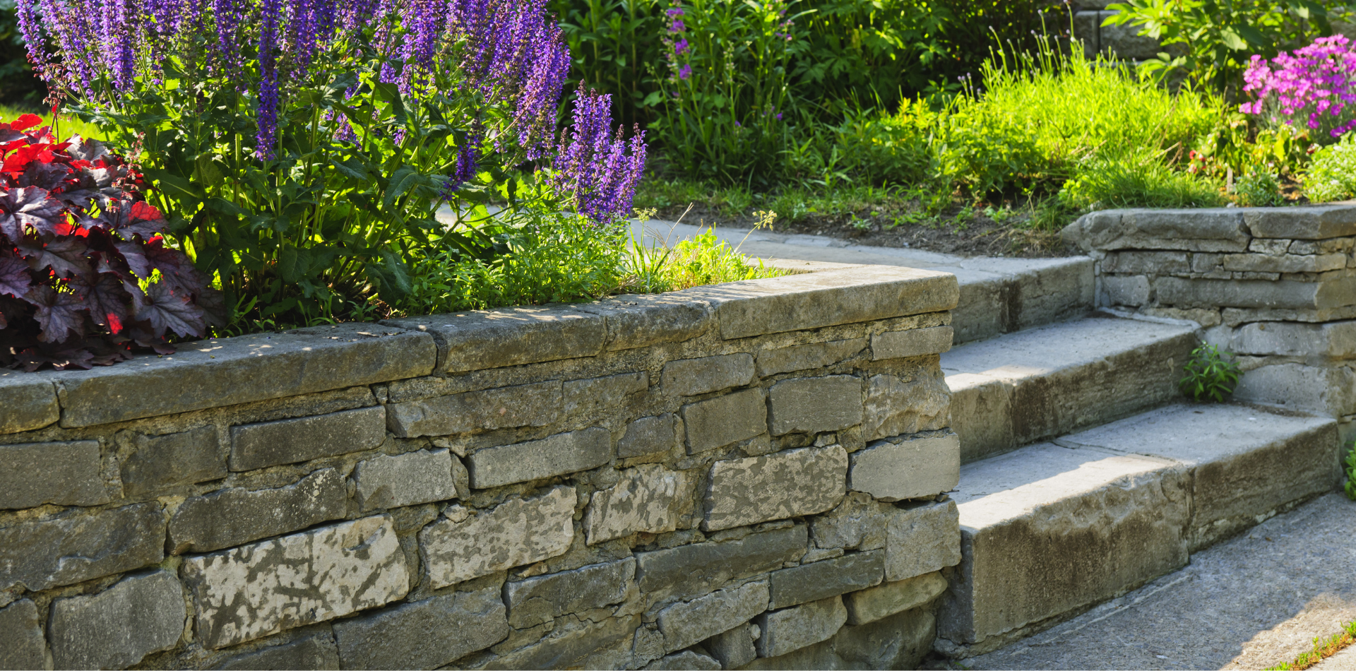 Des marches en pierre mènent à un jardin fleuri de fleurs violettes et vertes. Un mur de pierre le précède.