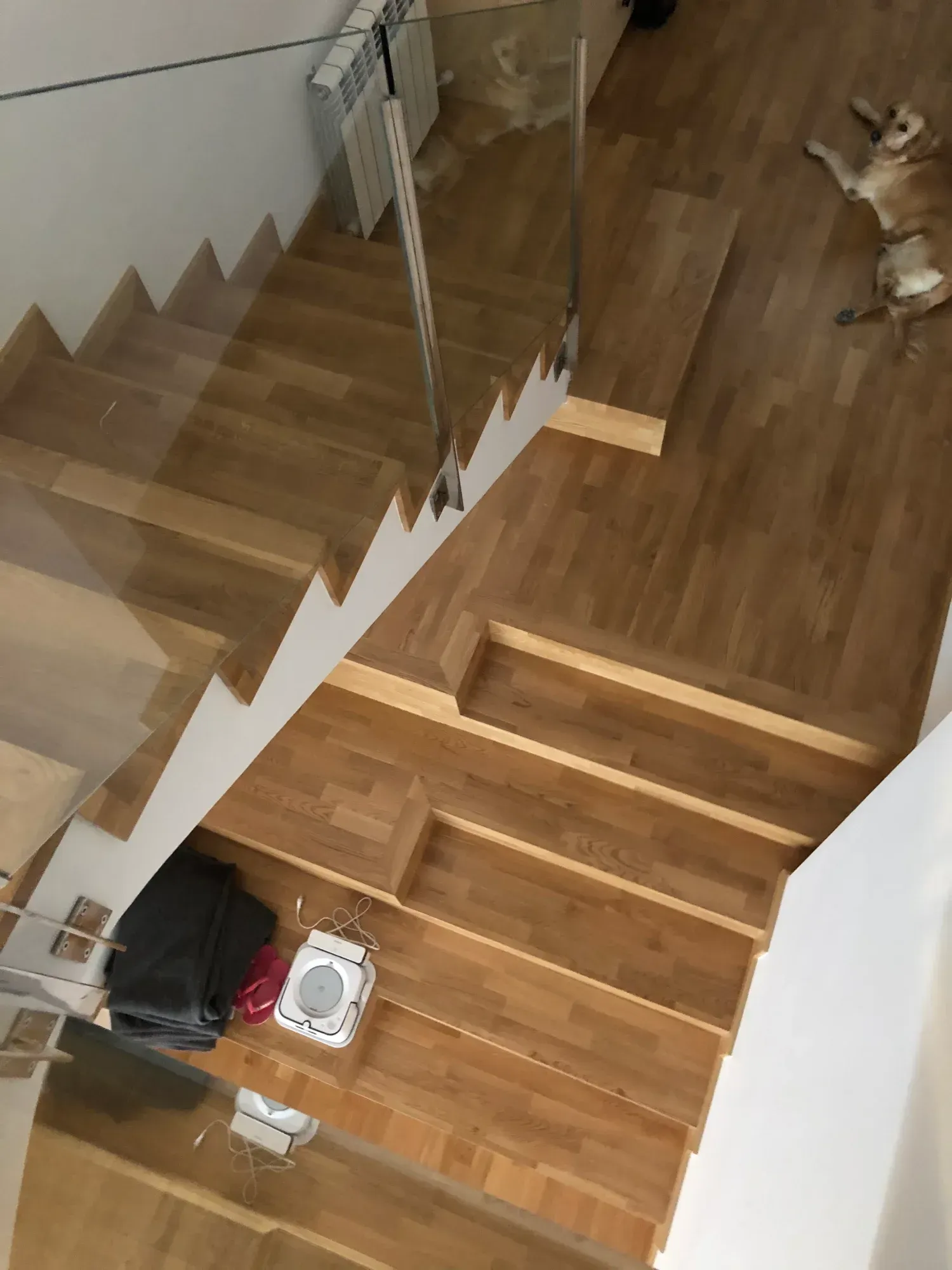 Cocina blanca moderna con isla, suelos de madera y electrodomésticos empotrados.