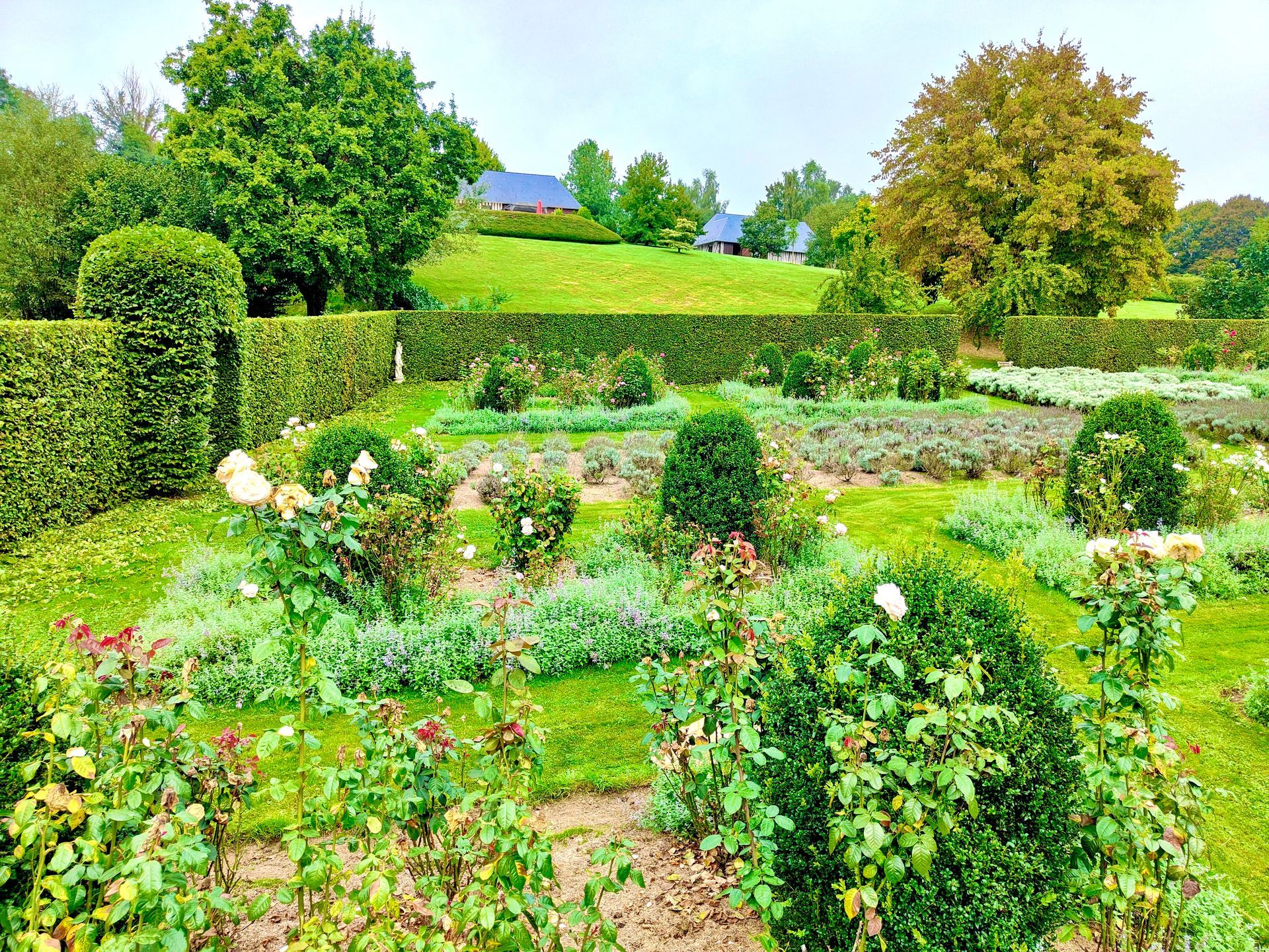 Une jardin avec des fleurs et des buissons