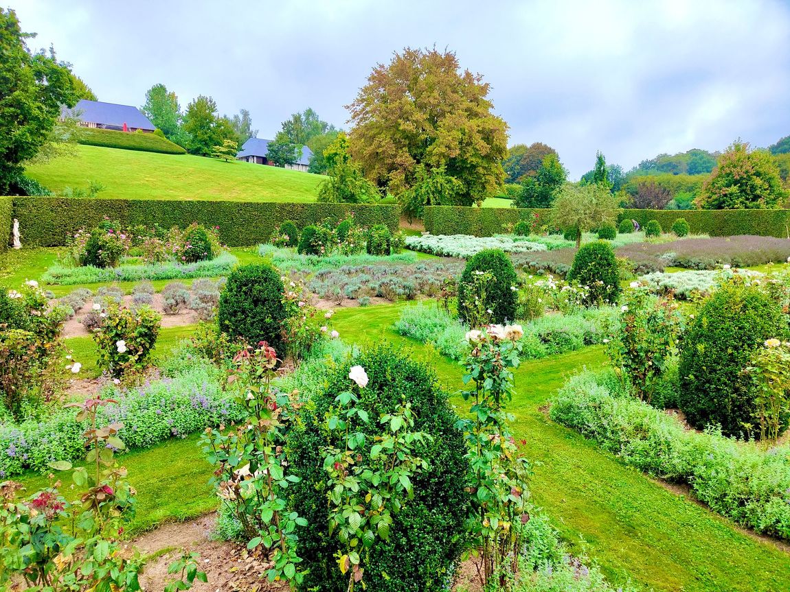 Un jardin avec des haies et des rosiers
