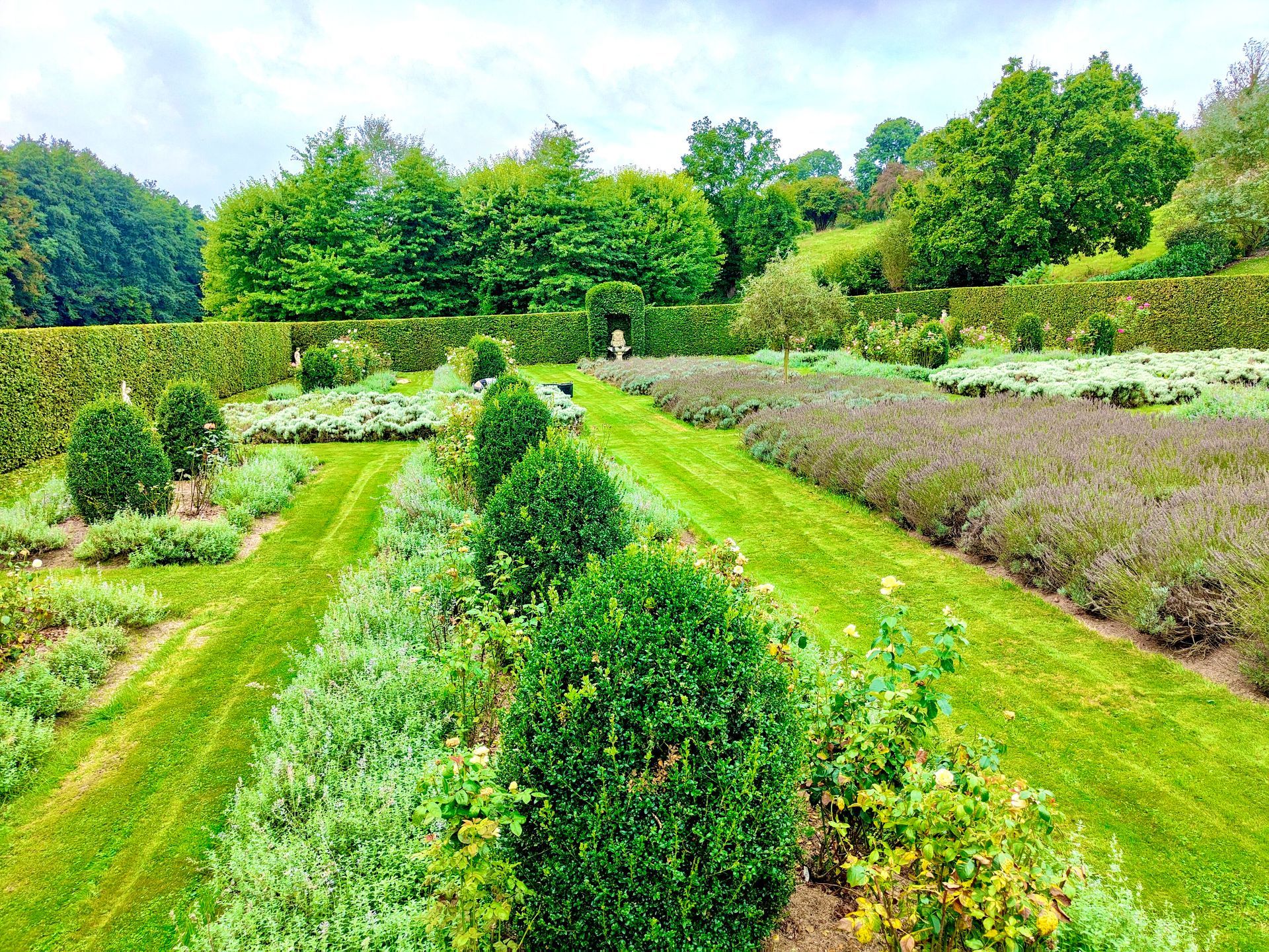 Un jardin avec plein de végétaux et des allées en pelouse
