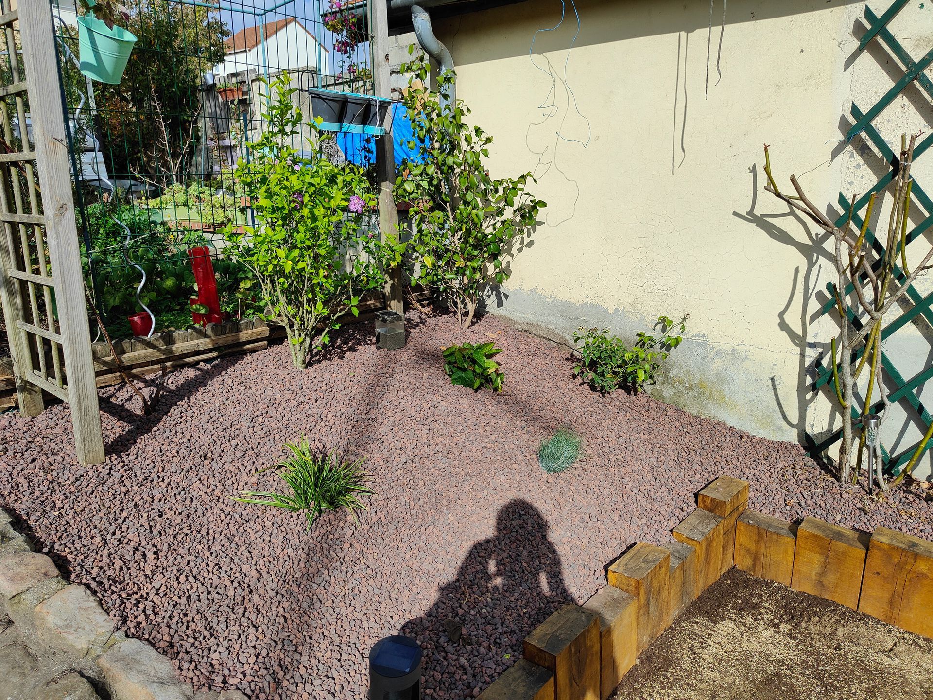 Un massif paysager avec des plantes