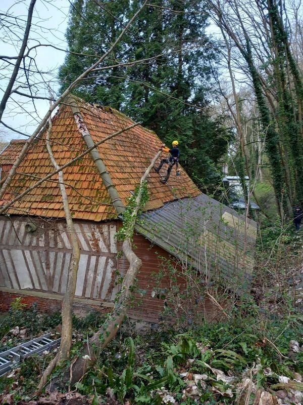 Une intervention d'élagage au dessus d'une maison