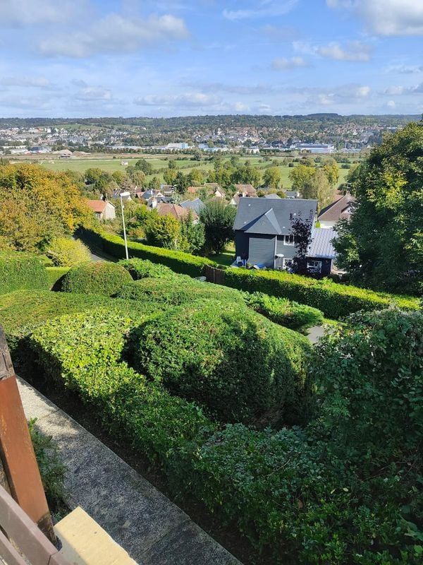 Des buissons et des haies dans un jardin