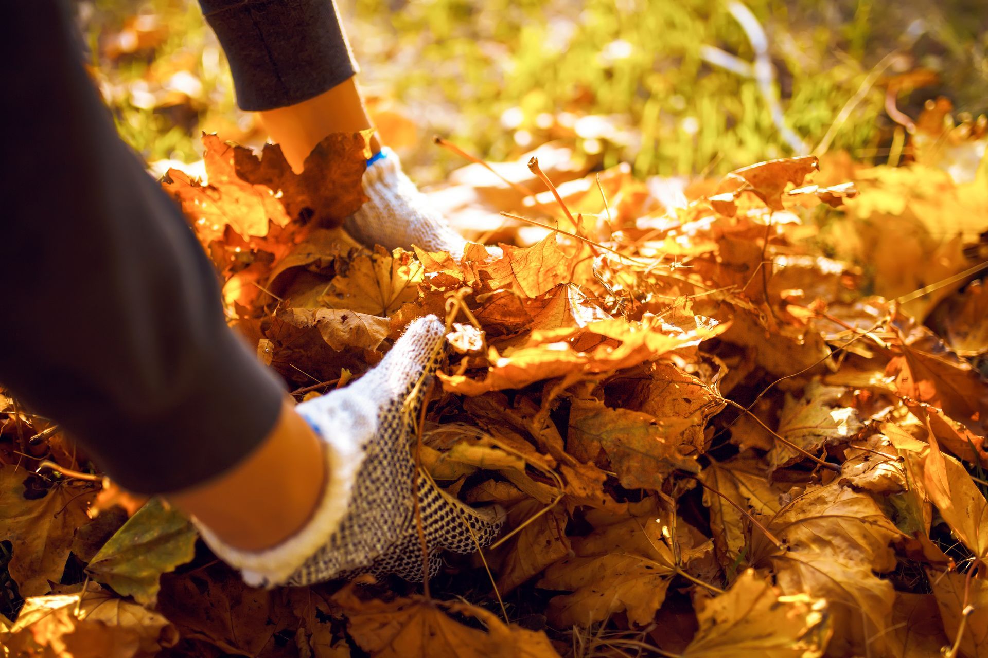 Un paysagiste ramasse des feuilles mortes