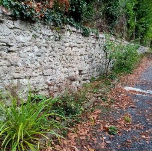 Une bordure de propriété avant travaux