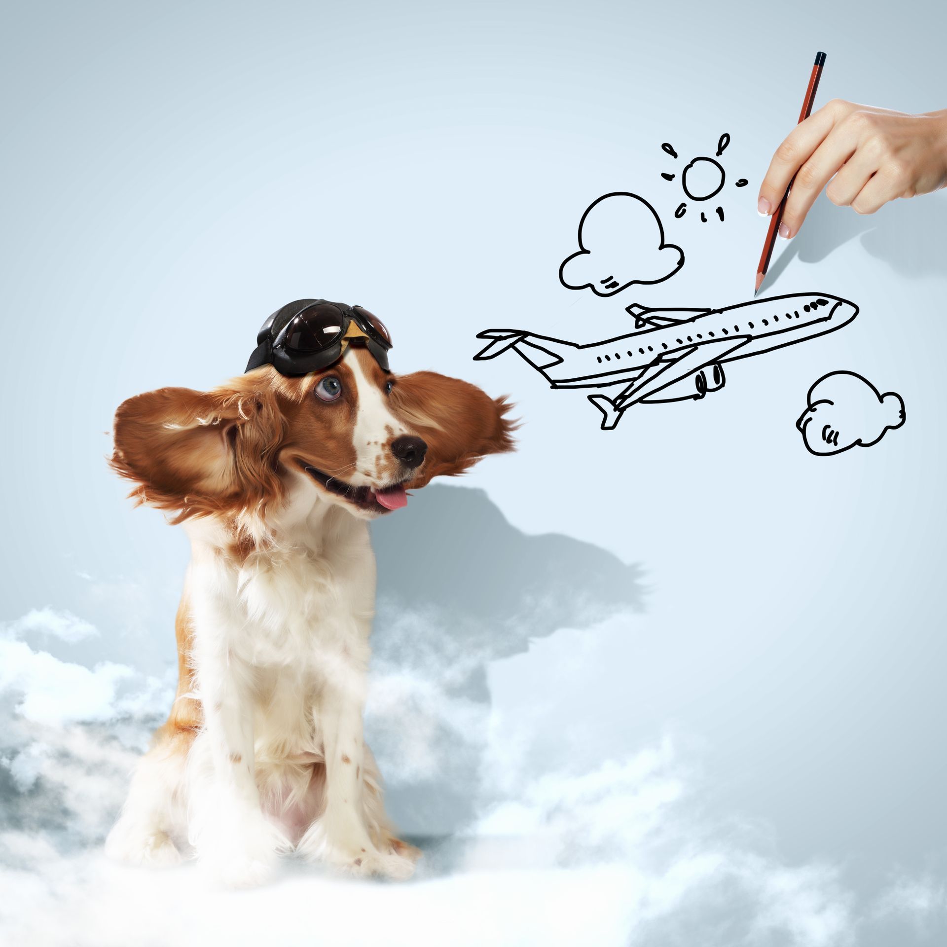 Ein Hund mit Pilotenmütze betrachtet eine Zeichnung eines Flugzeugs