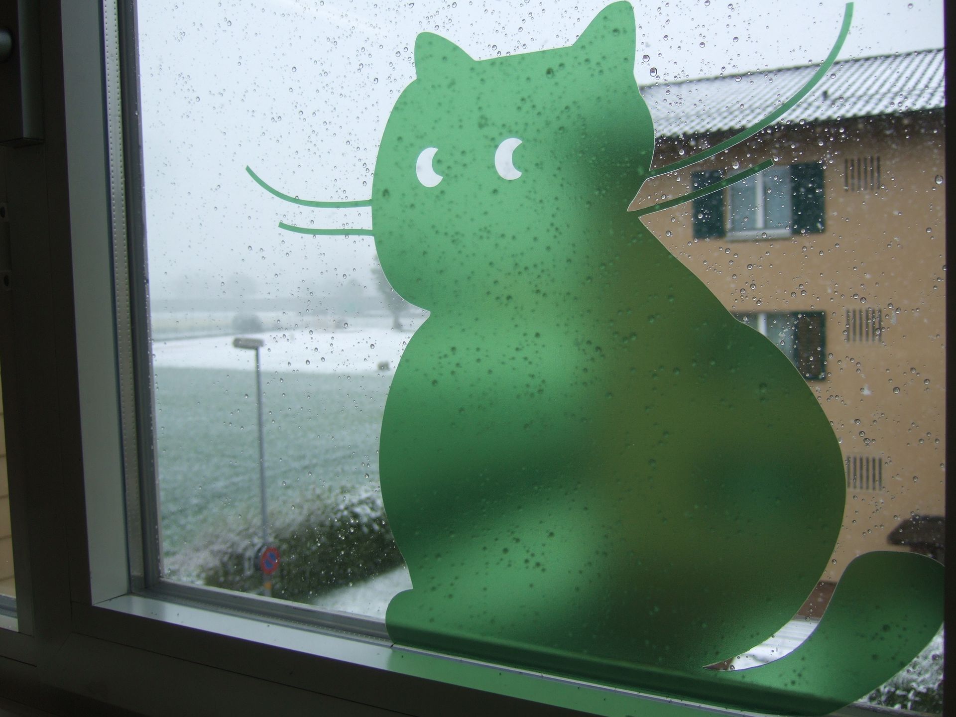 Eine grüne Katze sitzt auf einem Fensterbrett