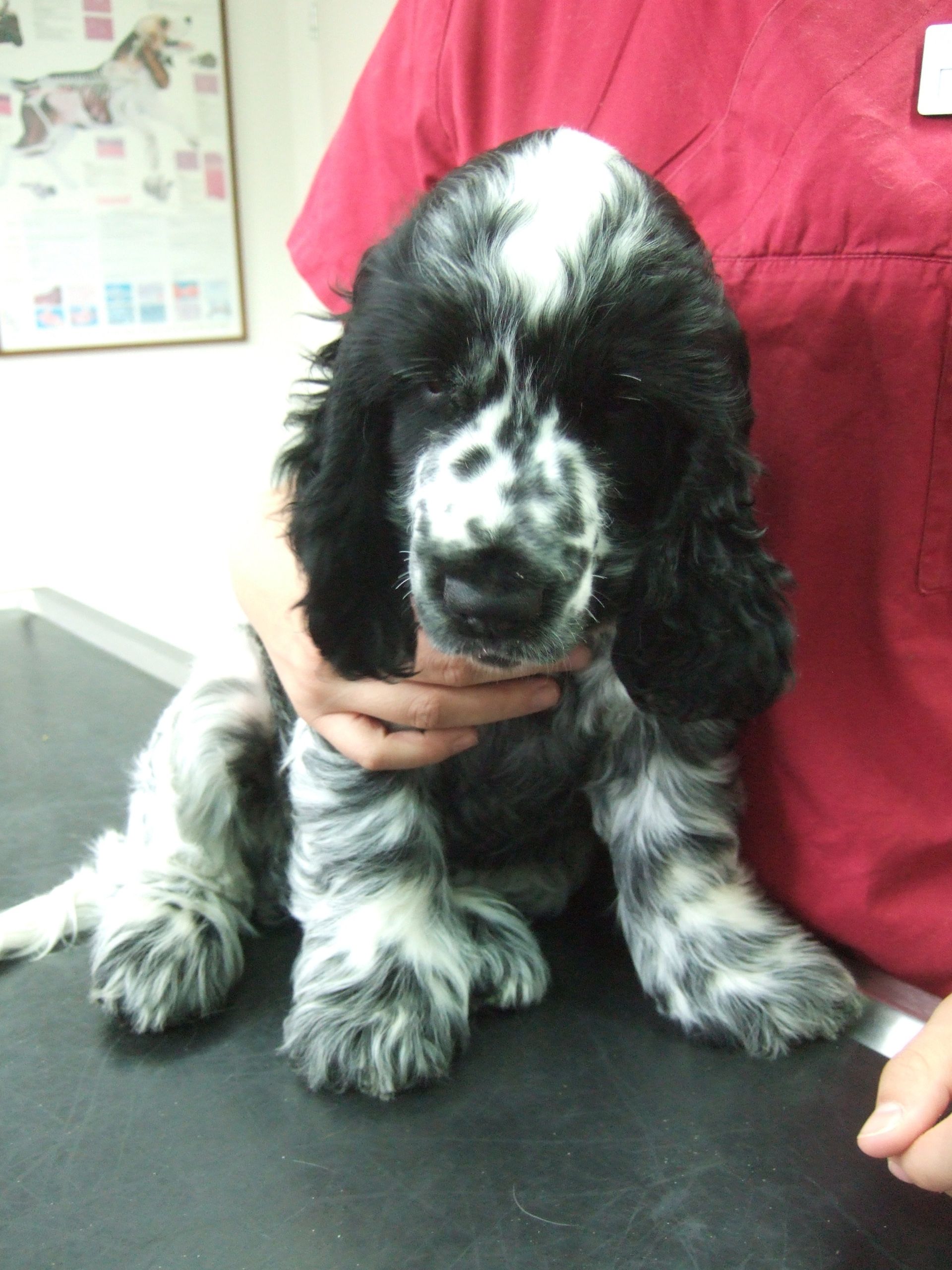 auch er wird noch wachsen