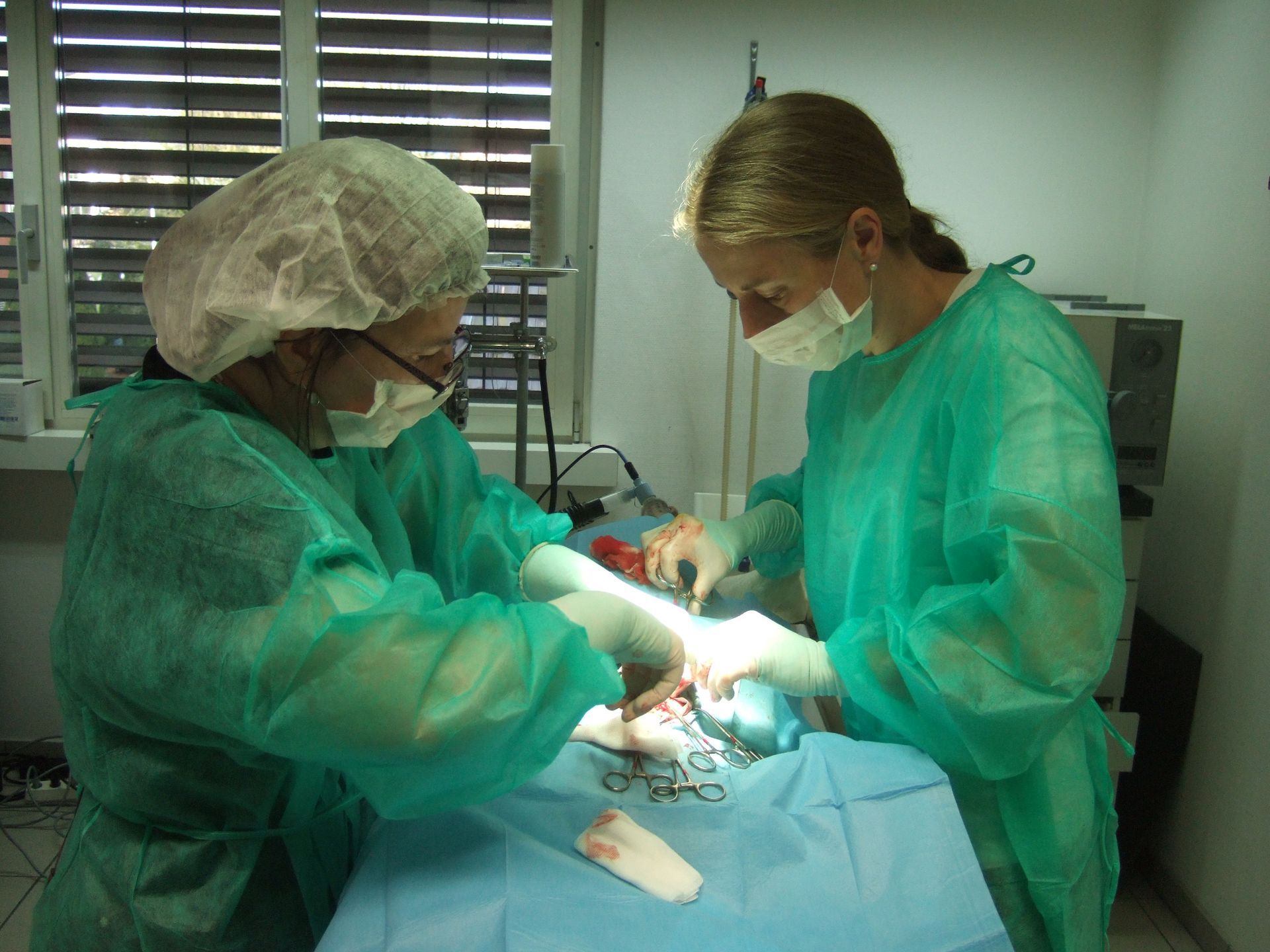 Dr. Claudine Hohler links und Dr. Katharina Osterwalder rechts beim operieren - Kleintierpraxis Lindengarten