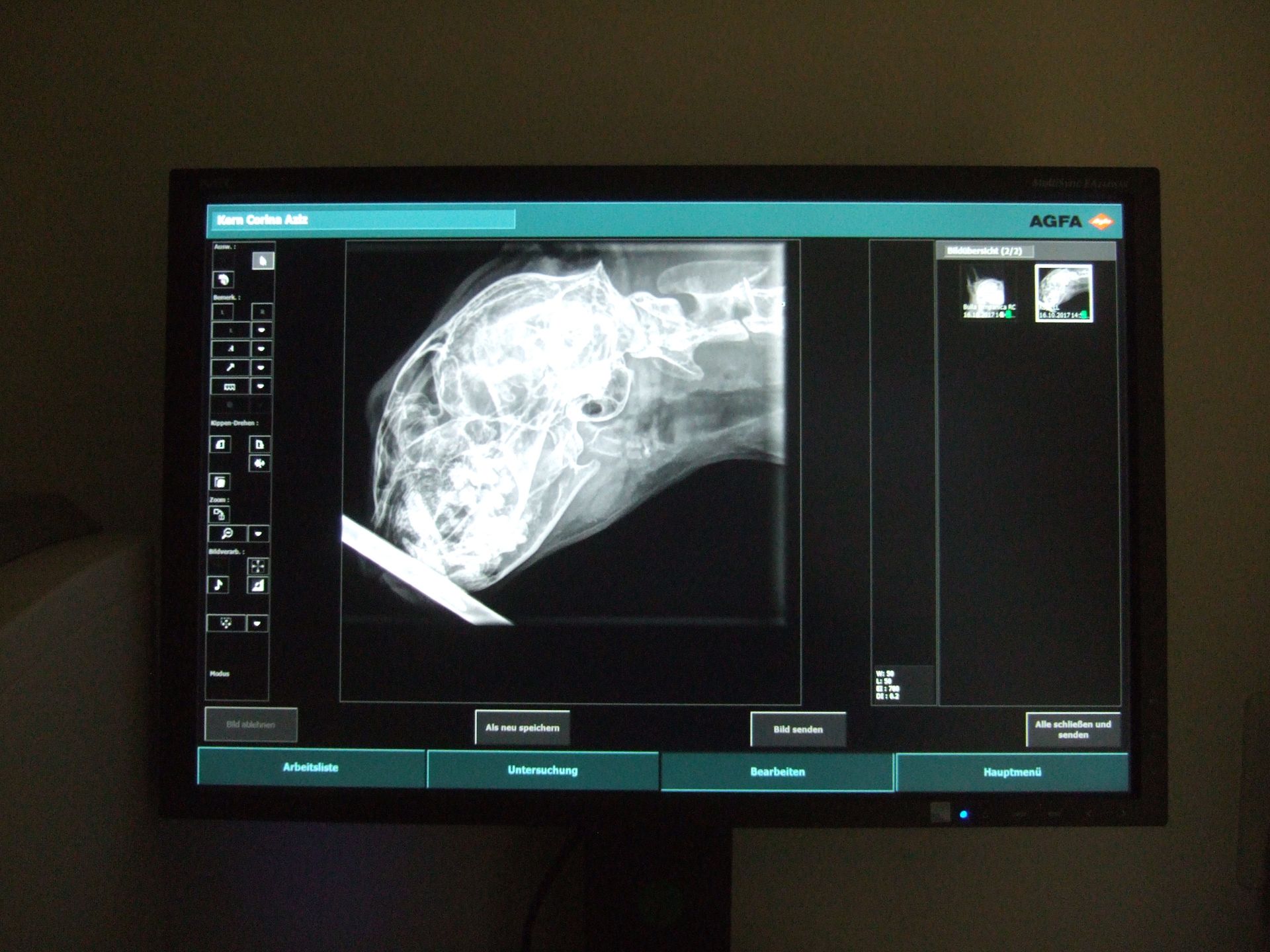 Röntgen - Kleintierpraxis Lindengarten