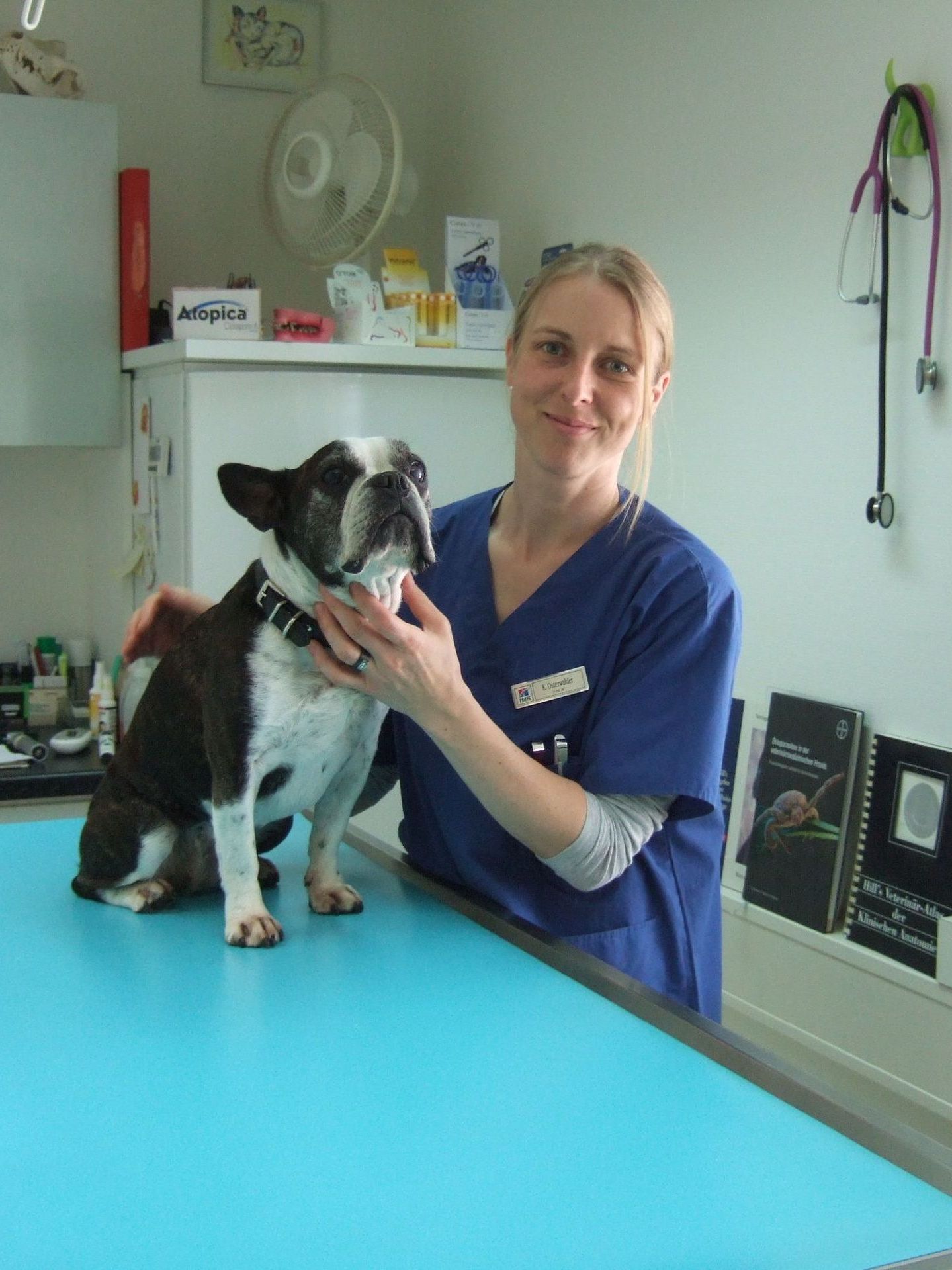 Eine Frau im blauen Kittel hält einen schwarz-weißen Hund