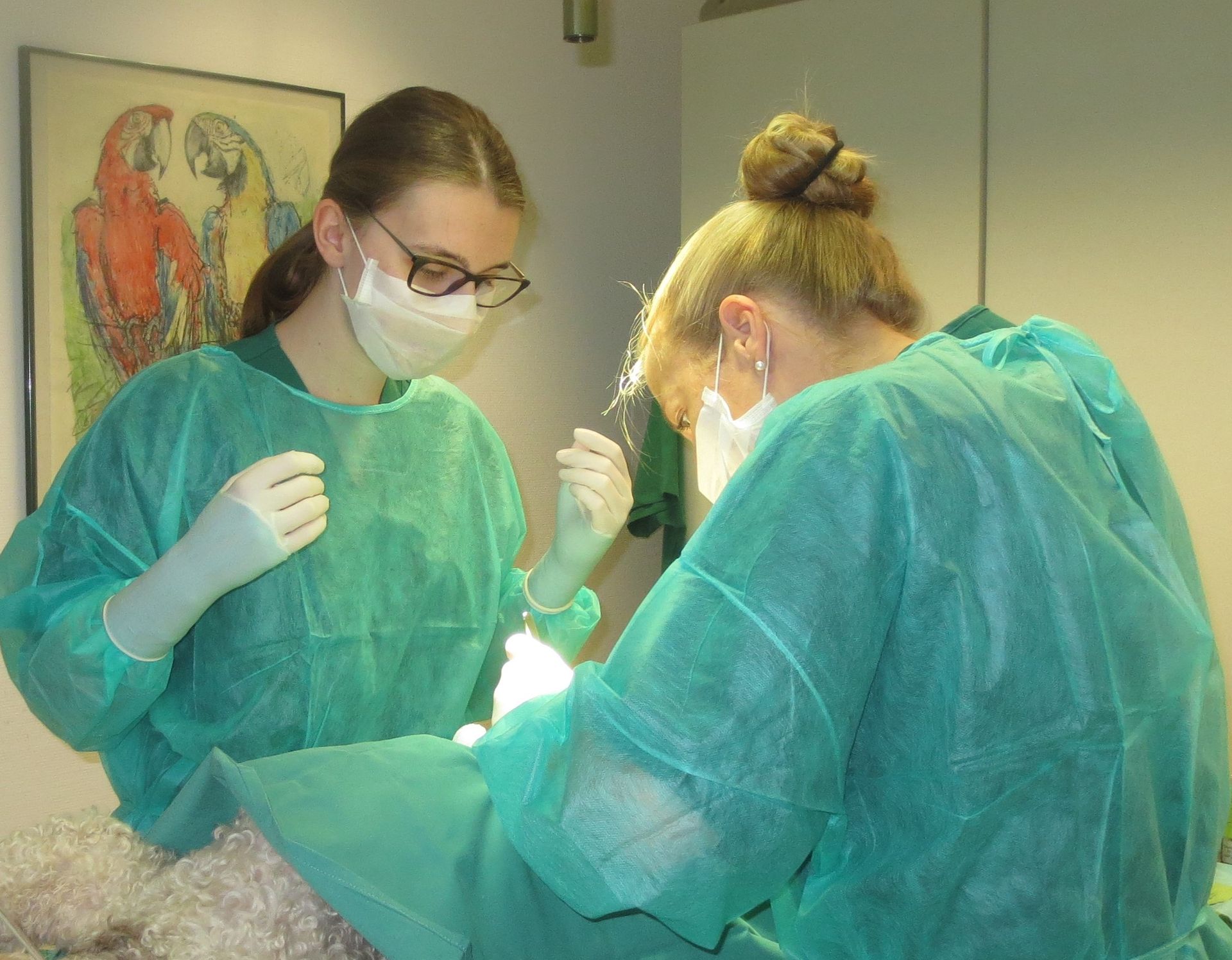 die Operation beginnt