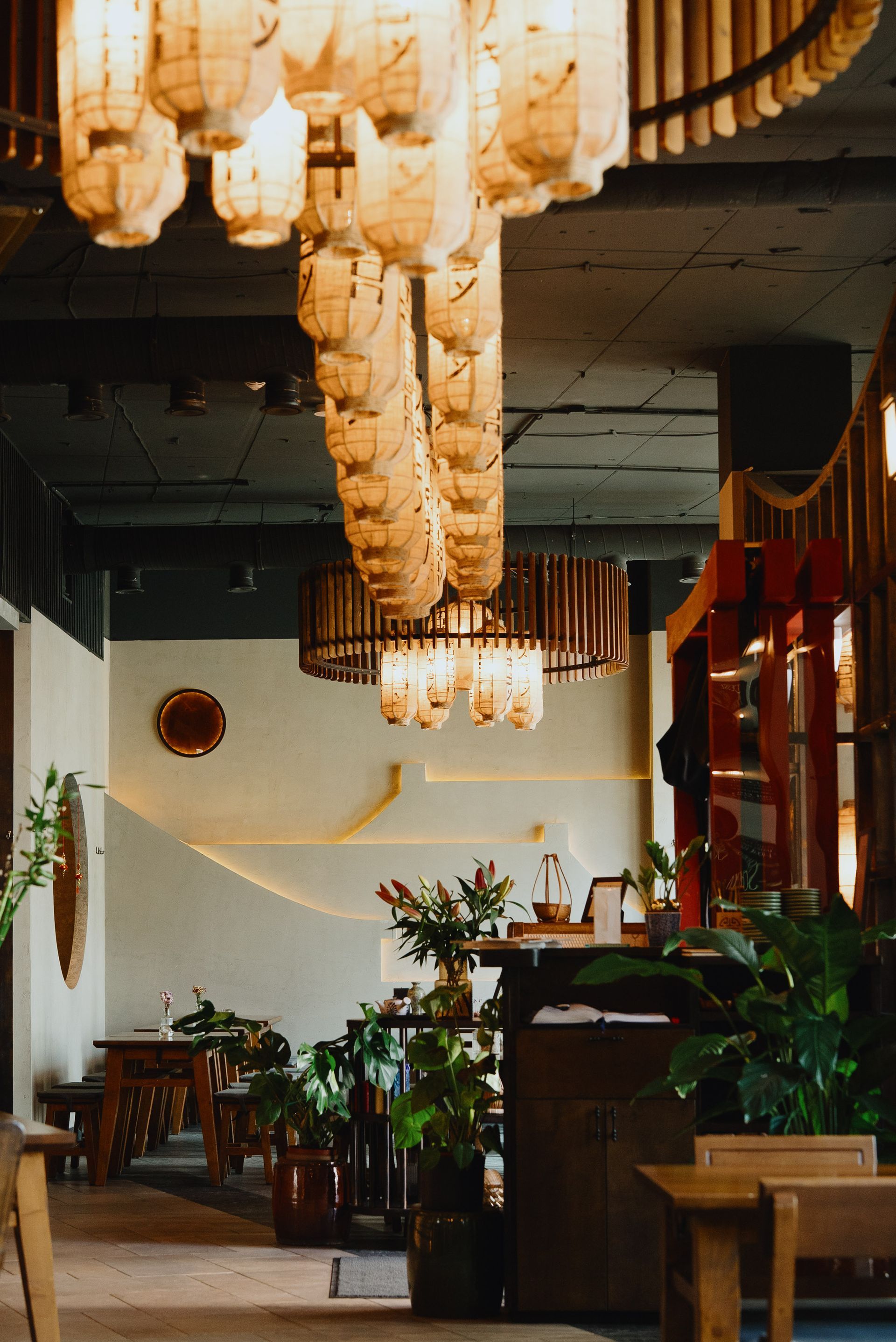 Japanische Laternen beleuchten eine Bar, im Hintergrund sind Regale mit Flaschen zu sehen.