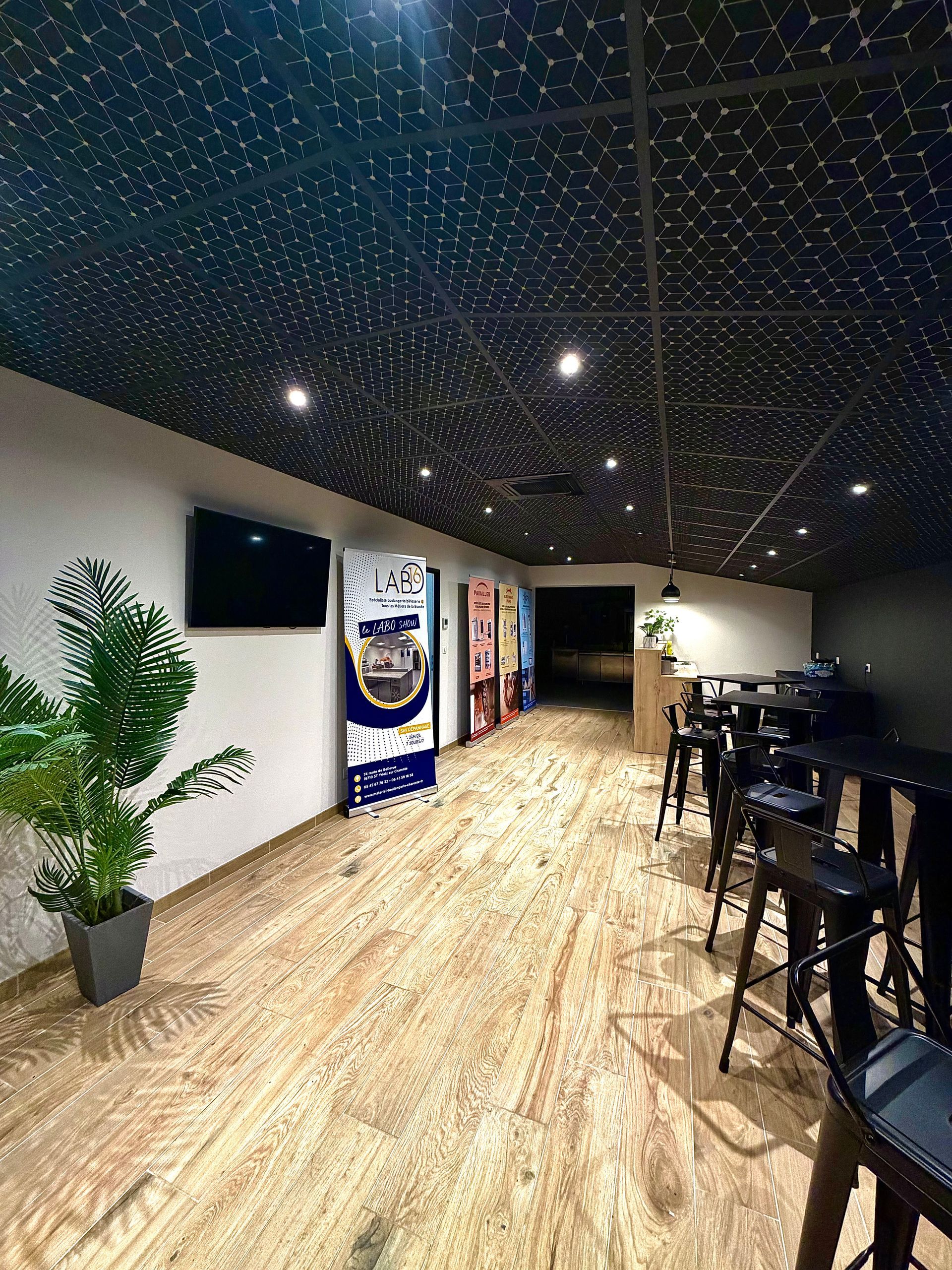 Un salon intérieur moderne avec parquet, plafond étoilé, télévision murale, tabourets de bar et plante en pot.