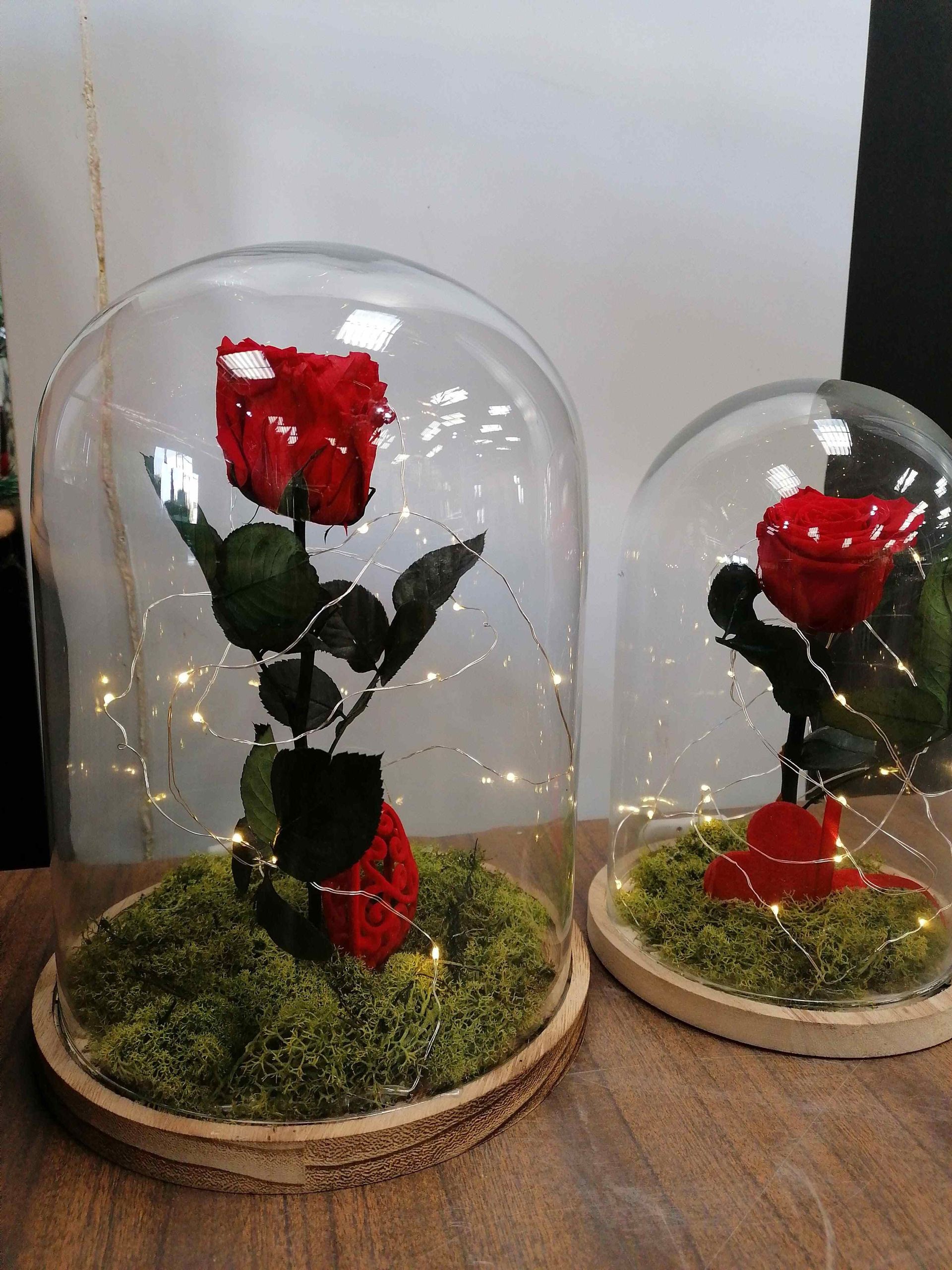 Una cúpula de cristal con una rosa roja en su interior.
