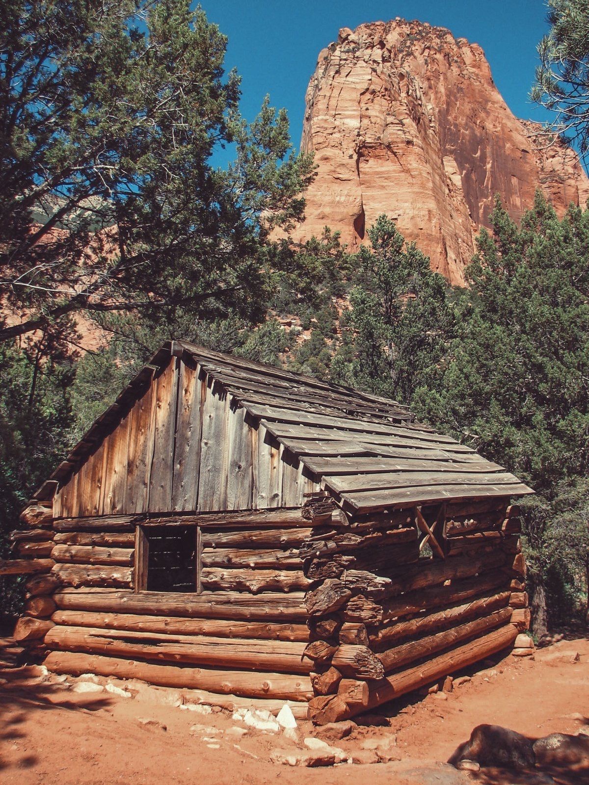 Taylor Creek Hike | Pioneer Cabin